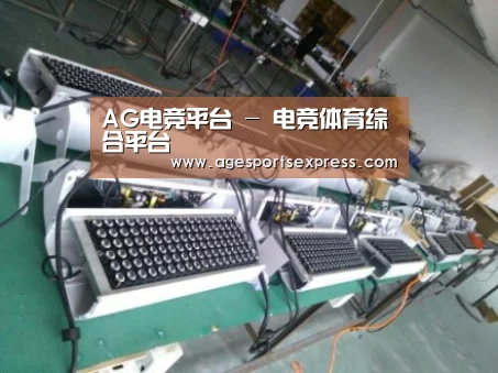 AG滚球案例展示一