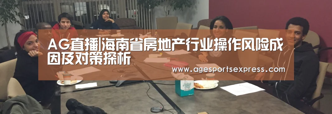 AG直播|海南省房地产行业操作风险成因及对策探析(图2) AG直播