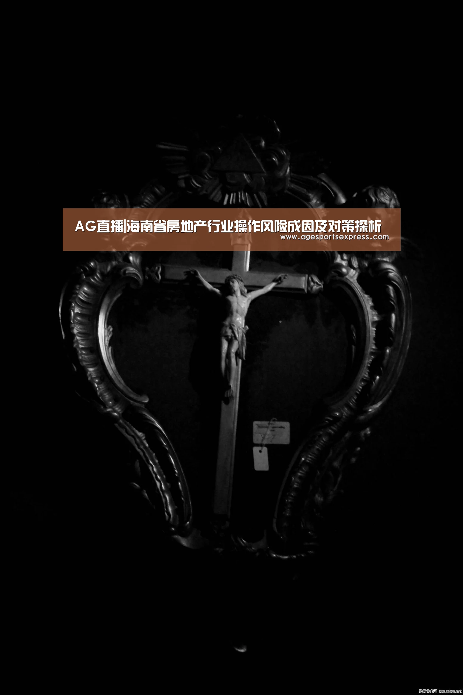 AG直播|海南省房地产行业操作风险成因及对策探析(图4) AG登录