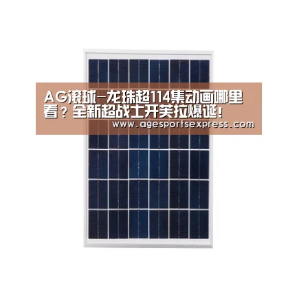 AG滚球