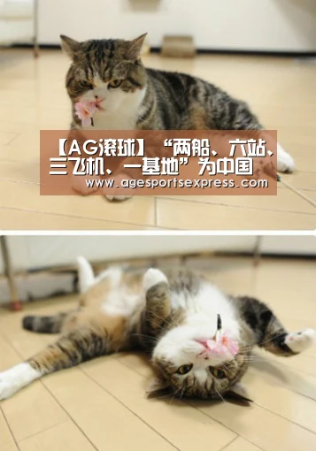 AG登录